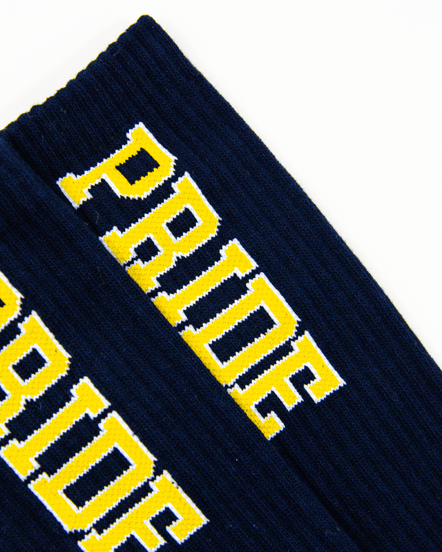 NC A&T  "Aggie Pride"Legacy Socks